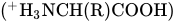 left-parenthesis Superscript plus Baseline upper H Subscript 3 Baseline NCH left-parenthesis upper R right-parenthesis COOH right-parenthesis