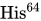 upper H is Superscript 64