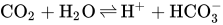 CO Subscript 2 Baseline plus upper H Subscript 2 Baseline upper O right harpoon over left harpoon upper H Superscript plus Baseline plus HCO Subscript 3 Superscript minus