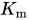 upper K Subscript m