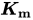 bold-italic upper K Subscript bold m