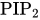 PIP Subscript 2