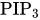 PIP Subscript 3