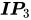 bold-italic IP Subscript 3