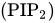 left-parenthesis PIP Subscript 2 Baseline right-parenthesis