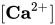 left-bracket bold Ca Superscript 2 plus Baseline right-bracket