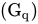 left-parenthesis upper G Subscript q Baseline right-parenthesis