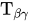 upper T Subscript beta gamma