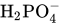 upper H Subscript 2 Baseline PO Subscript 4 Superscript minus