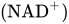 left-parenthesis NAD Superscript plus Baseline right-parenthesis