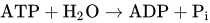 ATP plus upper H Subscript 2 Baseline upper O right-arrow Overscript Endscripts ADP plus upper P Subscript i Baseline