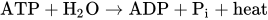 ATP plus upper H Subscript 2 Baseline upper O right-arrow ADP plus upper P Subscript i Baseline plus heat