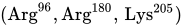 left-parenthesis Arg Superscript 96 Baseline comma Arg Superscript 180 Baseline comma Lys Superscript 205 Baseline right-parenthesis