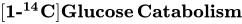 left-bracket bold 1 bold hyphen Superscript bold 1 bold 4 Baseline zero width space bold upper C right-bracket bold upper G bold l bold u bold c bold o bold s bold e bold upper C bold a bold t bold a bold b bold o bold l bold i bold s bold m