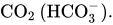 CO Subscript 2 Baseline left-parenthesis HCO Subscript 3 Superscript minus Baseline right-parenthesis period