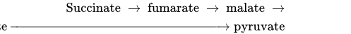 StartLayout 1st Row Succinate right-arrow fumarate right-arrow malate right-arrow 2nd Row oxaloacetate right-arrow pyruvate EndLayout