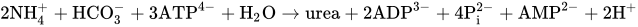 2 NH Subscript 4 Superscript plus Baseline plus HCO Subscript 3 Superscript minus Baseline plus 3 ATP Superscript 4 minus Baseline plus upper H Subscript 2 Baseline upper O right-arrow urea plus 2 ADP Superscript 3 minus Baseline plus 4 upper P Subscript i Superscript 2 minus Baseline plus AMP Superscript 2 minus Baseline plus 2 upper H Superscript plus