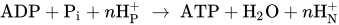 ADP plus upper P Subscript i Baseline plus n upper H Subscript upper P Superscript plus Baseline right-arrow ATP plus upper H Subscript 2 Baseline upper O plus n upper H Subscript upper N Superscript plus