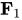 bold upper F Subscript 1