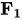 bold upper F Subscript bold 1