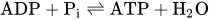 ADP plus upper P Subscript i Baseline right harpoon over left harpoon ATP plus upper H Subscript 2 Baseline upper O