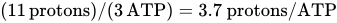 left-parenthesis 11 protons right-parenthesis slash left-parenthesis 3 ATP right-parenthesis equals 3.7 protons slash ATP