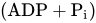 left-parenthesis ADP plus upper P Subscript i Baseline right-parenthesis