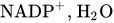 NADP Superscript plus Baseline comma upper H Subscript 2 Baseline upper O