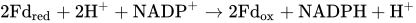 2 Fd Subscript red Baseline plus 2 upper H Superscript plus Baseline plus NADP Superscript plus Baseline right-arrow 2 Fd Subscript ox Baseline plus NADPH plus upper H Superscript plus