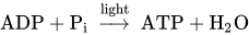 upper A upper D upper P plus normal upper P Subscript normal i Baseline right-arrow Overscript light Endscripts upper A upper T upper P plus normal upper H 2 upper O