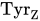 Tyr Subscript upper Z