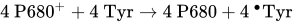 4 upper P 680 Superscript plus Baseline plus 4 upper T y r right-arrow 4 upper P 680 plus 4 Superscript bullet Baseline Tyr