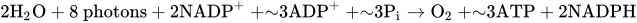 2 normal upper H 2 normal upper O plus 8 p h o t o n s plus 2 upper N upper A upper D upper P Superscript plus Baseline plus tilde 3 upper A upper D upper P Superscript plus Baseline plus tilde 3 normal upper P Subscript normal i Baseline right-arrow normal upper O 2 plus tilde 3 ATP plus 2 NADPH