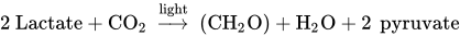 2 upper L a c t a t e plus upper C upper O 2 right-arrow Overscript light Endscripts left-parenthesis upper C upper H 2 normal upper O right-parenthesis plus normal upper H 2 normal upper O plus 2 p y r u v a t e