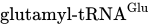 glutamyl hyphen tRNA Superscript Glu