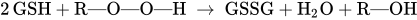 2 GSH plus upper R em-dash upper O em-dash upper O em-dash upper H right-arrow GSSG plus upper H Subscript 2 Baseline upper O plus upper R em-dash OH