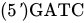 left-parenthesis 5 prime right-parenthesis GATC