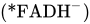 left-parenthesis asterisk FADH Superscript minus Baseline right-parenthesis