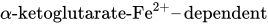 alpha hyphen ketoglutarate hyphen Fe Superscript 2 plus Baseline zero width space en-dash dependent