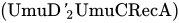 left-parenthesis UmuD prime Subscript 2 Baseline zero width space UmuCRecA right-parenthesis