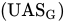 left-parenthesis UAS Subscript upper G Baseline right-parenthesis